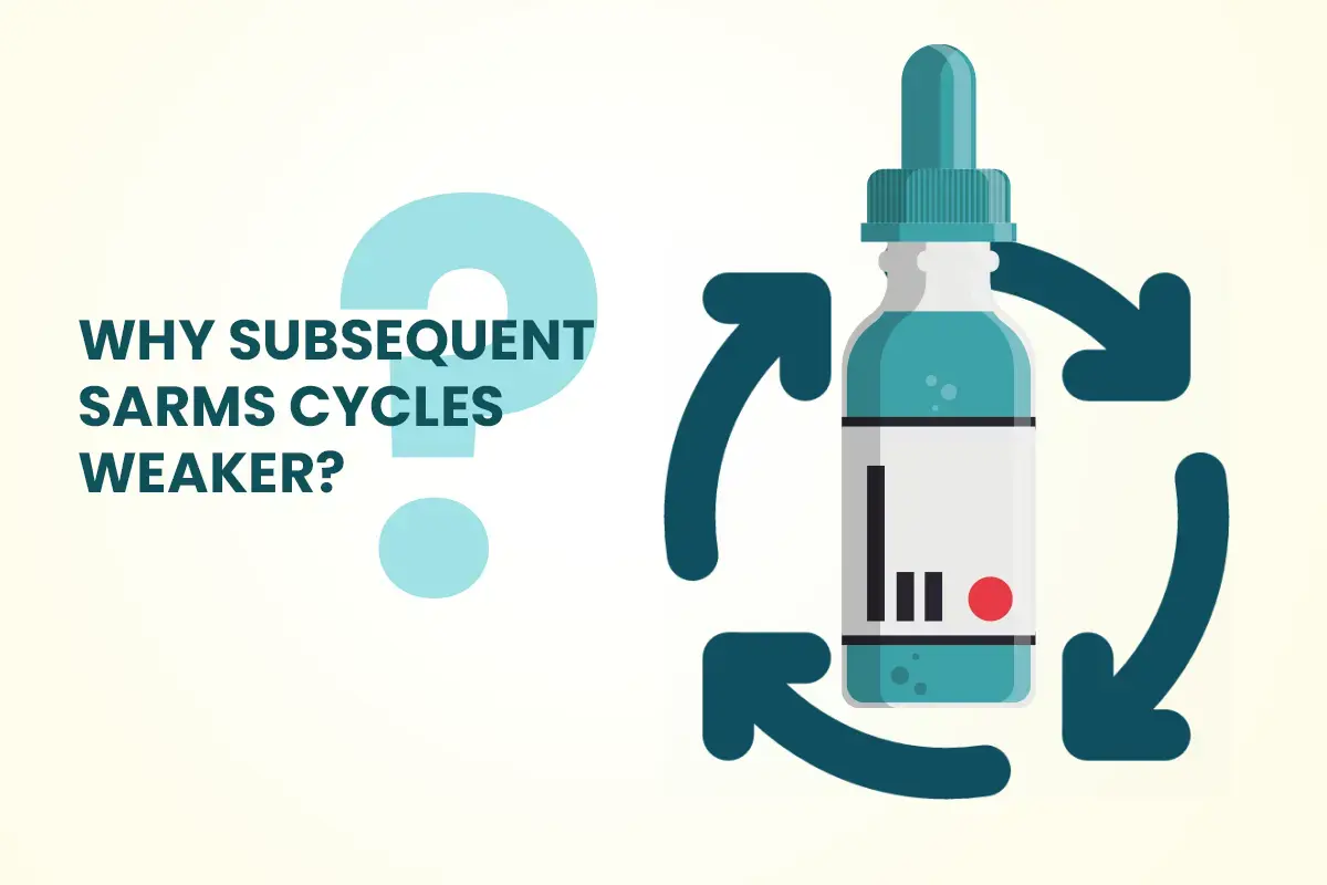 Why are subsequent SARMs cycles not as strong as my first